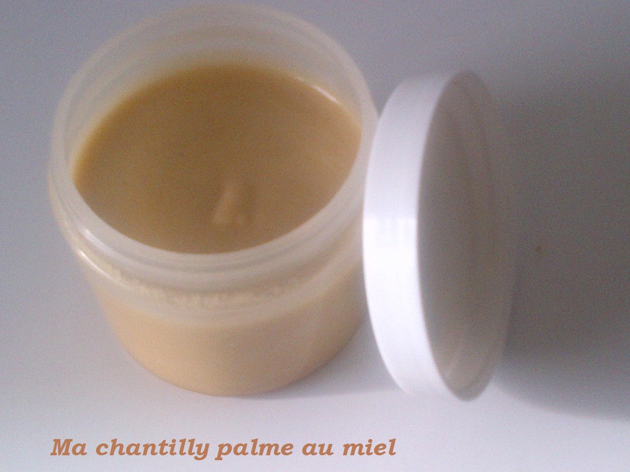 Ma-chantilly-de-palme