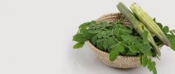 Moringa