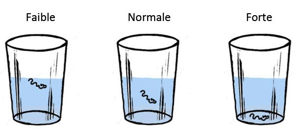 Porosity test copie